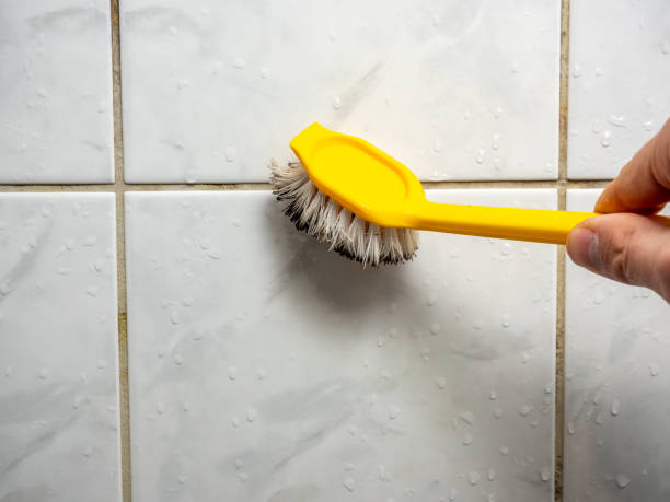 Best Mold Remediation for Specific Building Types in Winona, MS