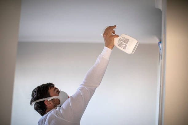 Best Localized Mold Remediation (e.g., coastal areas, humid climates) in Winona, MS