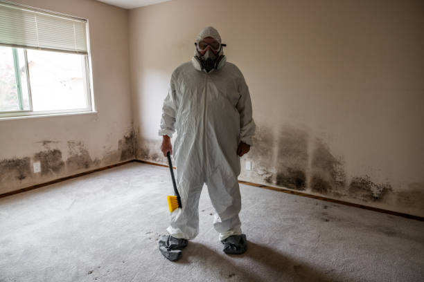 Best Crawl Space Mold Remediation in Winona, MS